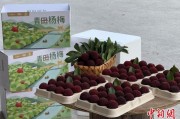 事业顺景高速赋能产业升级：一条“杨梅路”的致富密码